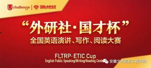 美丽的标价 每日大赛,探寻价值与审美的奇妙交融